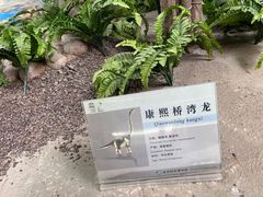 -延庆地质公园博物馆