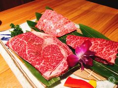 -炼火烤肉店