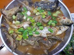 -全乐鱼馆·淳牌有机鱼直营店