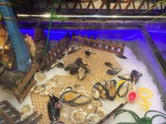 -格瑞欧海鲜自助烤肉火锅(光彩店)