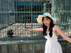 -秦皇岛野生动物园
