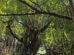 -胡里山炮台