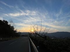 -江南天池