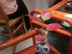 -晓粤·惹味粤菜(凯德乐峰广场店)