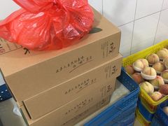 -老袁家蜜桃农场·阳山水蜜桃