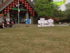 -铁山坪森林公园