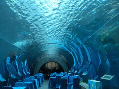 -海棠湾洲际-涛·海底餐厅·美人鱼·自助餐·海底隧道
