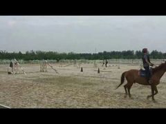 -月河湾马术俱乐部(朝阳店)