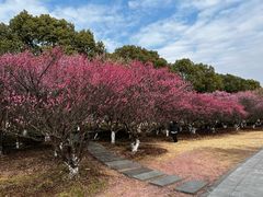 -阳澄湖半岛旅游度假区