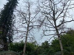-广东温泉宾馆