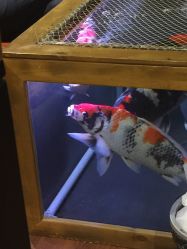 -鳌首刺青纹身 穿孔饰品店