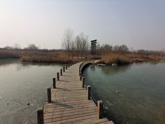 -淇河国家湿地公园