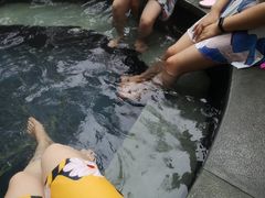 -宁海森林温泉