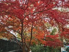 -西湖天地