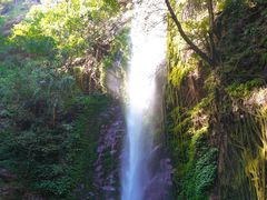 -莫里热带雨林景区