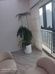 -HEYAN荷妍专业脱毛连锁机构
