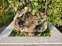 -广州神农草堂中医药博物馆