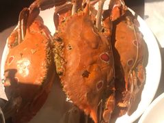 -御品海宴海鲜自助餐厅(龙岗万科广场店)