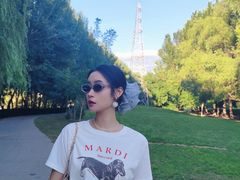 -长白岛森林公园