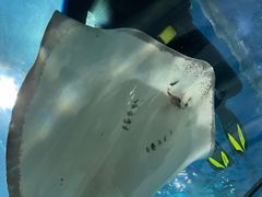 -福州罗源湾海洋世界旅游区