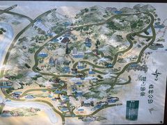 -潜山国家森林公园