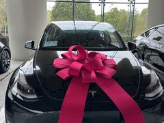 -TESLA 特斯拉(上海太古汇体验店)