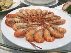 罗氏虾-金瑞轩大酒楼·顺德鱼生·粤菜海鲜(东江国际店)