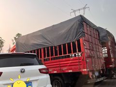 -双福水果批发市场
