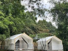 -南丹山森林王国