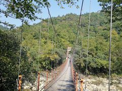 -燕子河大峡谷天坑仙境