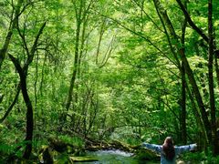 -叠溪松坪沟景区