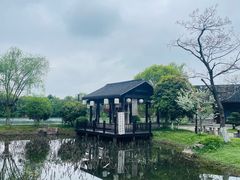 -尚湖风景区