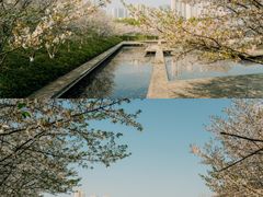 -诺贝尔湖公园