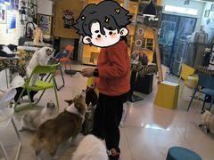 -平行世界·猫咖(首经贸店)
