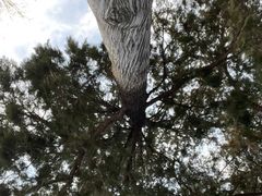 -莲池书院博物馆