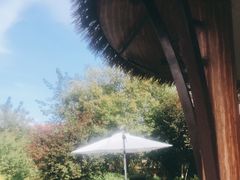 -大连金石滩绿发温泉假日酒店