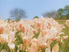 -保利石象湖景区