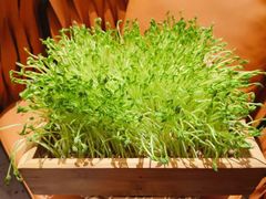-椰子营·椰子鸡火锅(万象里店)