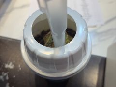 -麦丽丝红油辣椒冰淇淋(江家巷店)