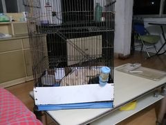 -必胜客(新福地店)