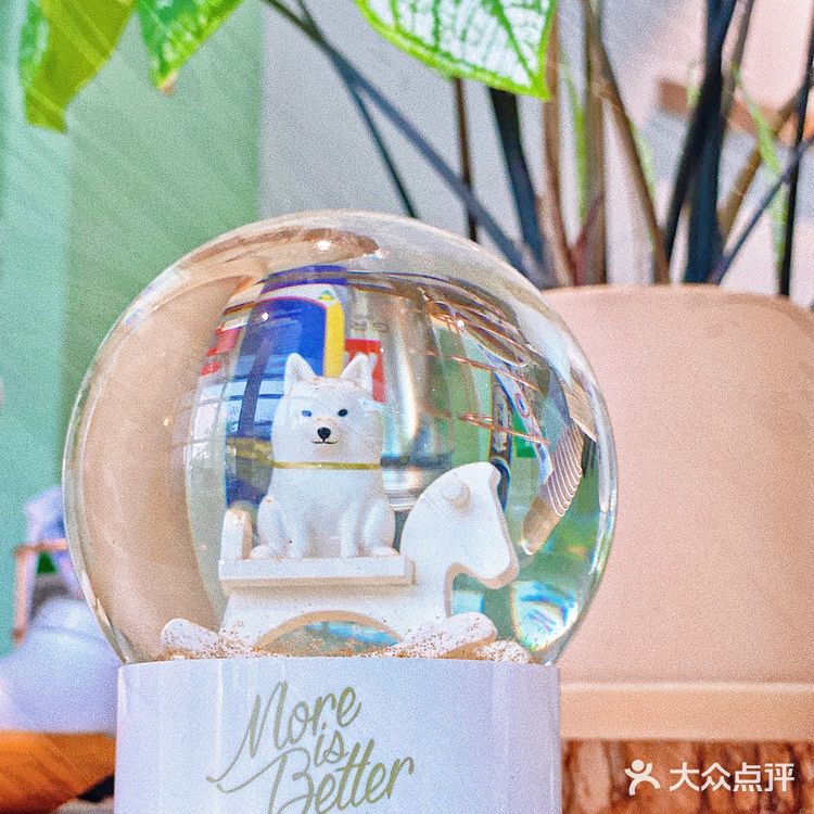 怕🐶怕得要死的我为什么进这家店?还不是因为……