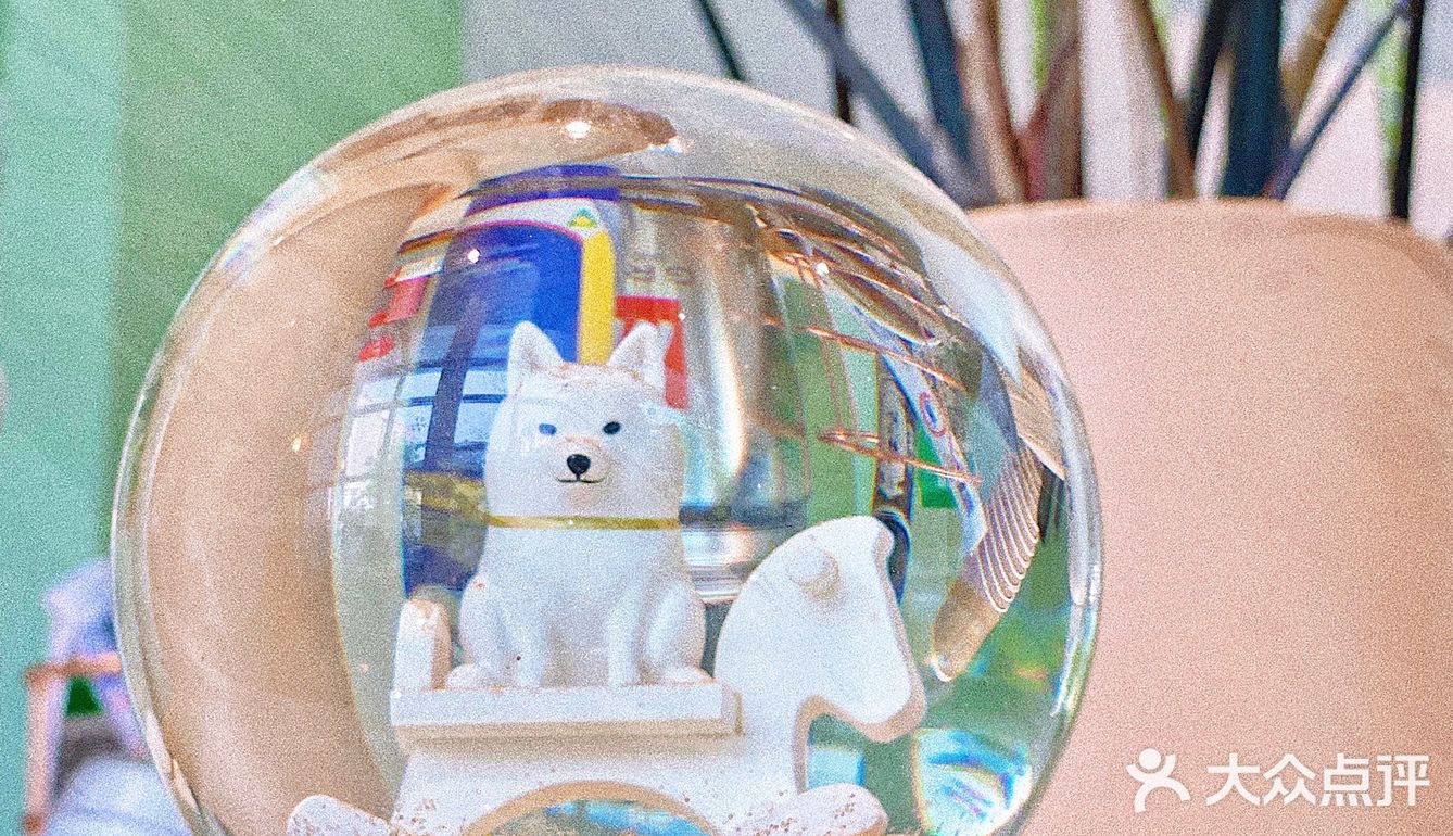 怕🐶怕得要死的我为什么进这家店？还不是因为……