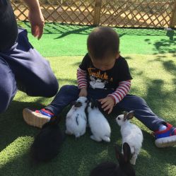 -萌宠亲子动物乐园(槐房万达店)