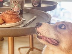 -red donkey coffee