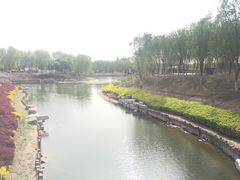 -大兴滨河森林公园