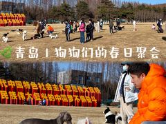 -汇泉广场