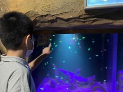 -常州海昌海洋探索馆