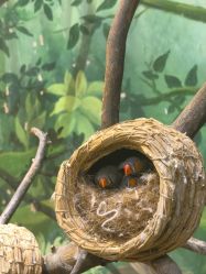 -Zoolung Zoolung动物主题公园(海信广场店)