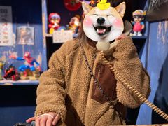 -和平菓局(王府井店)