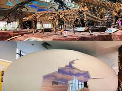 -安徽省地质博物馆